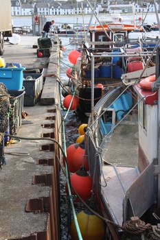 ./20101002-090404.jpg