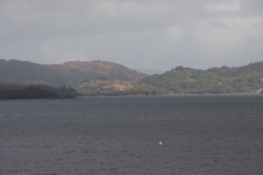 ./20101002-121223.jpg