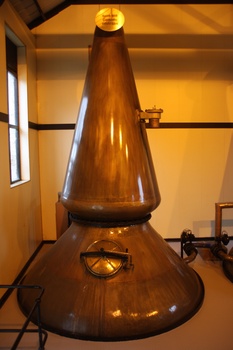 ./20101002-164028.jpg