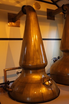 ./20101002-164033.jpg
