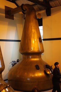 ./20101002-164039.jpg