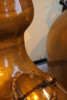 ./20101002-164756.jpg