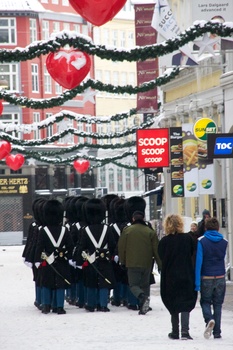 ./20101224-114428.jpg