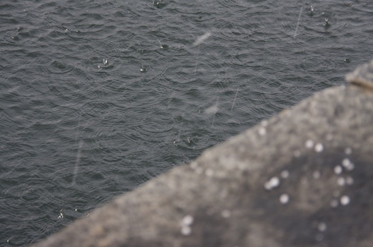 ./20091018-160005.jpg