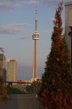 ./20110617-011350.jpg