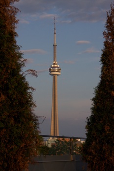./20110617-011409.jpg