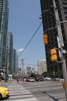 ./20110618-175213.jpg
