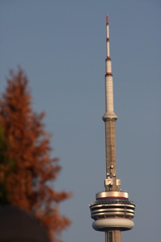 ./20110619-004916.jpg
