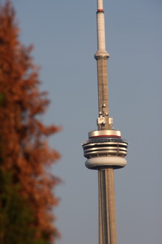 ./20110619-004938.jpg