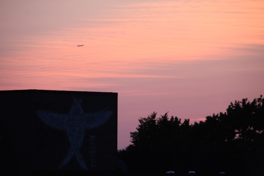 ./20110619-022405.jpg