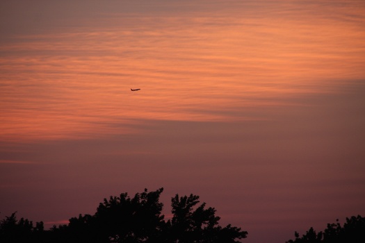 ./20110619-022414.jpg
