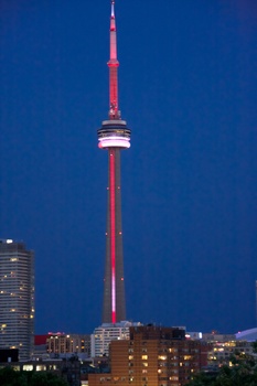 ./20110619-024649.jpg