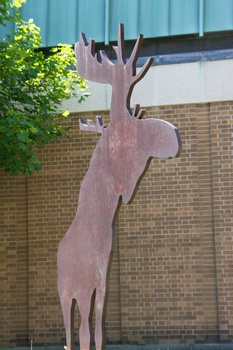 ./20110619-162241.jpg