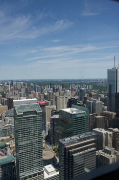 ./20110619-172917.jpg