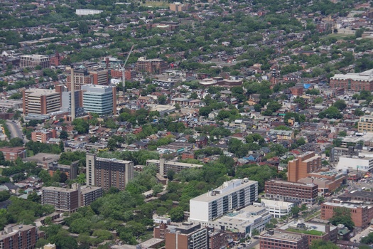./20110619-173057.jpg