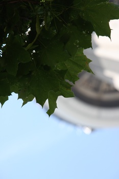 ./20110619-185630.jpg